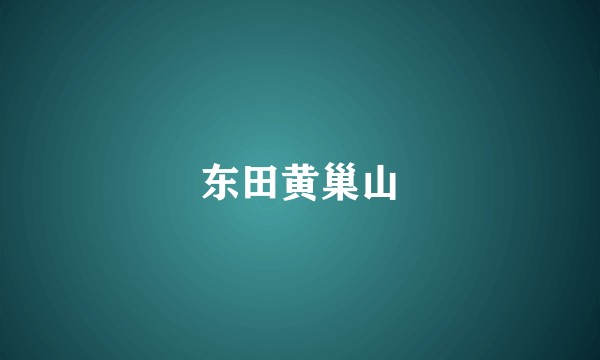 东田黄巢山