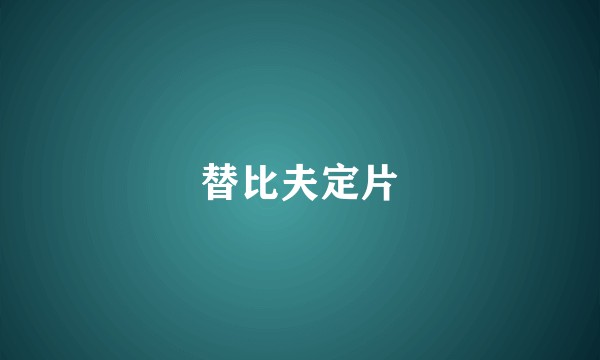 替比夫定片