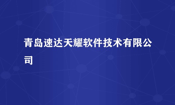 青岛速达天耀软件技术有限公司