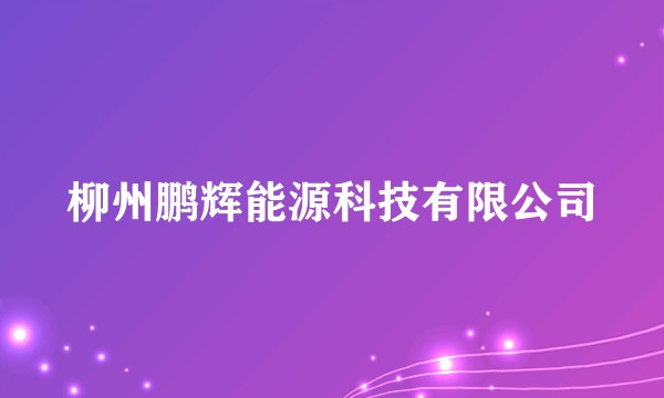 柳州鹏辉能源科技有限公司