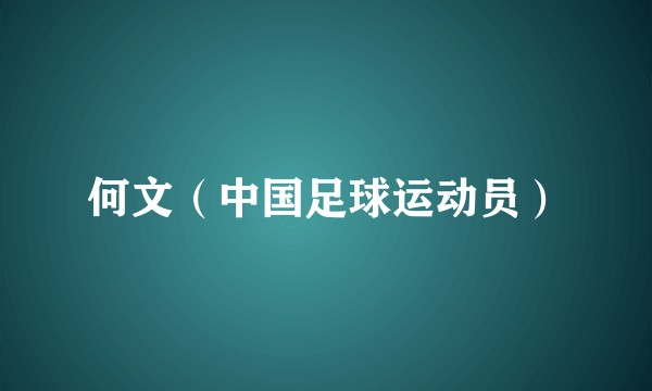 何文（中国足球运动员）