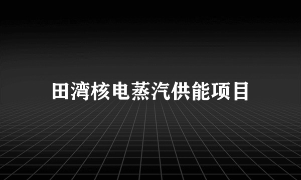 田湾核电蒸汽供能项目