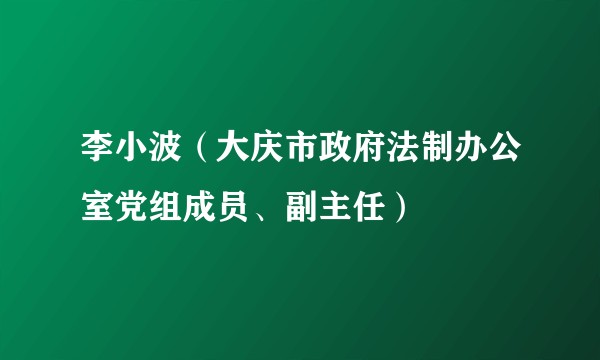 李小波（大庆市政府法制办公室党组成员、副主任）