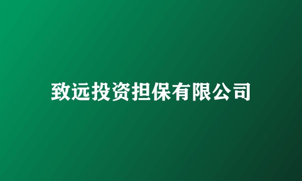 致远投资担保有限公司