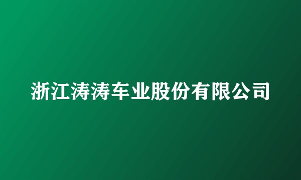 浙江涛涛车业股份有限公司