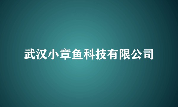 武汉小章鱼科技有限公司