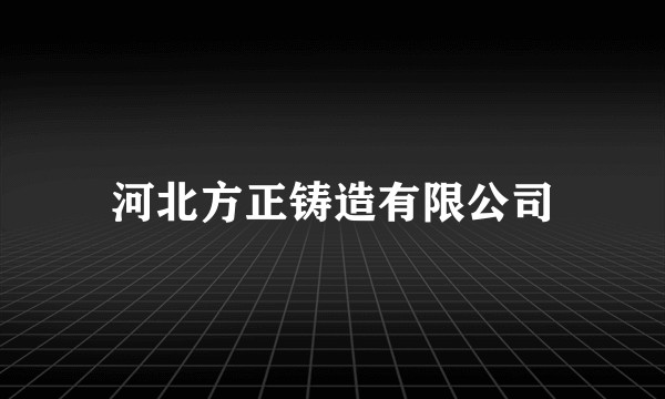 河北方正铸造有限公司