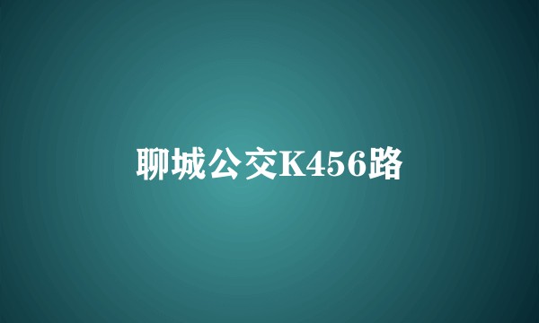 聊城公交K456路