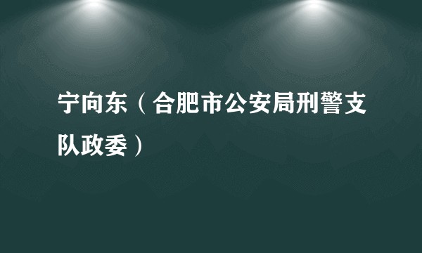 宁向东（合肥市公安局刑警支队政委）