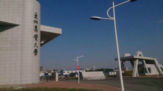 东北农业大学研究生院