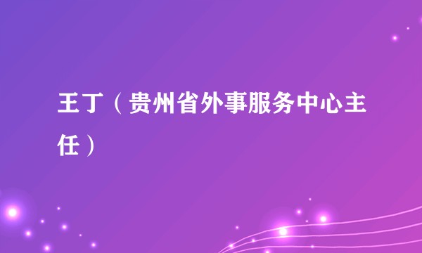 王丁（贵州省外事服务中心主任）