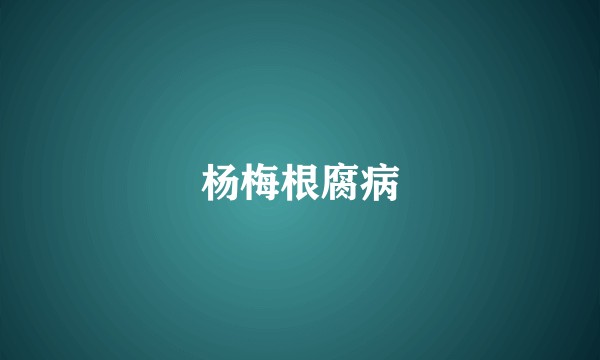 杨梅根腐病
