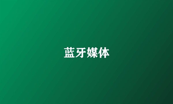 蓝牙媒体