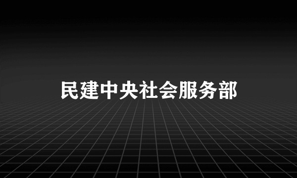 民建中央社会服务部
