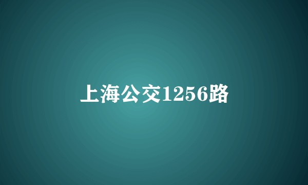 上海公交1256路