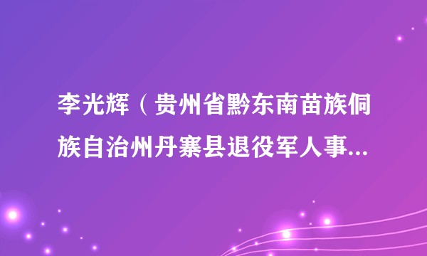 李光辉（贵州省黔东南苗族侗族自治州丹寨县退役军人事务局副局长）