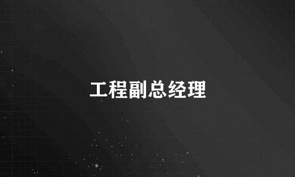 工程副总经理