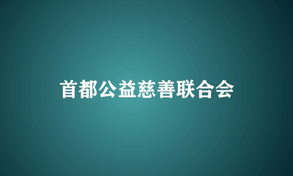 首都公益慈善联合会