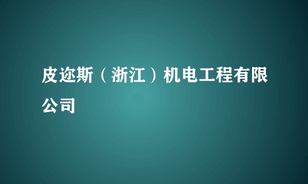 皮迩斯（浙江）机电工程有限公司