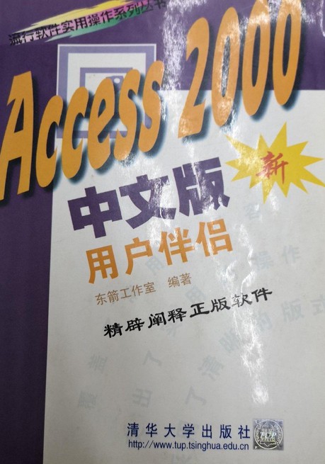 ACCESS2000中文版用户伴侣（新）/流行软件实用操作系列丛书