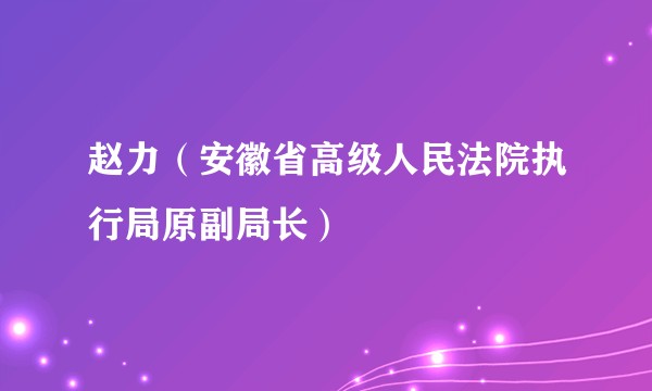 赵力（安徽省高级人民法院执行局原副局长）