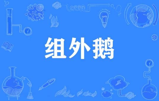 组外鹅