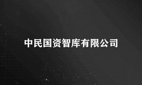 中民国资智库有限公司