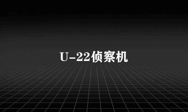 U-22侦察机
