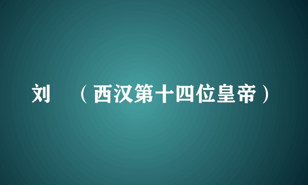 刘衎（西汉第十四位皇帝）