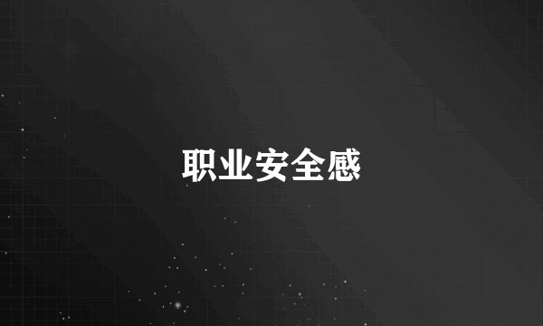 职业安全感