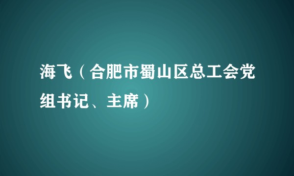 海飞（合肥市蜀山区总工会党组书记、主席）