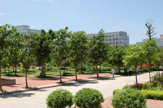 合肥市红星职业培训学校