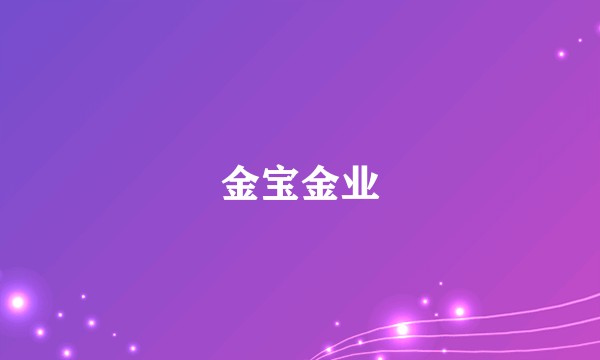 金宝金业