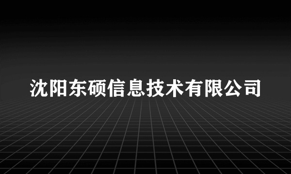 沈阳东硕信息技术有限公司