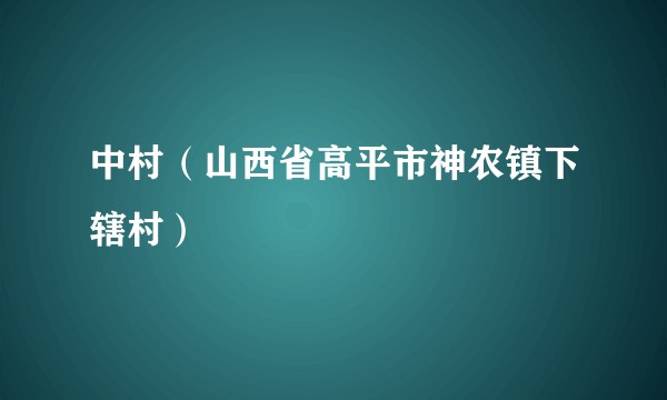 中村(山西省高平市神农镇下辖村)