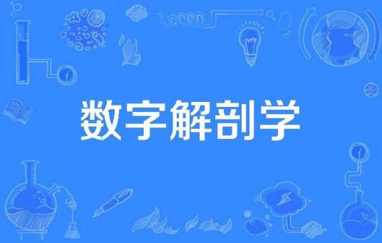数字解剖学