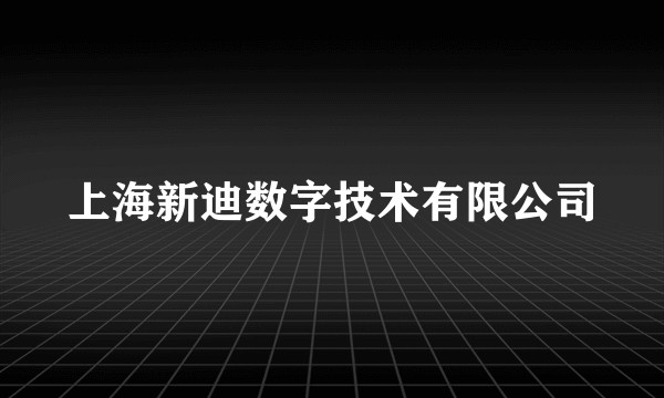 上海新迪数字技术有限公司