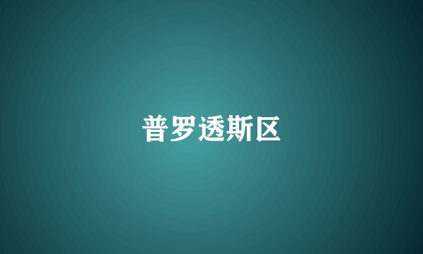 普罗透斯区