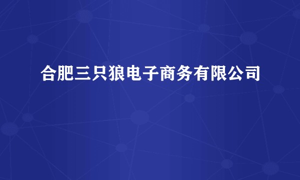 合肥三只狼电子商务有限公司