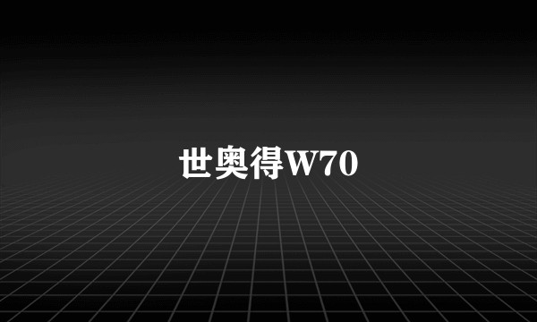 世奥得W70
