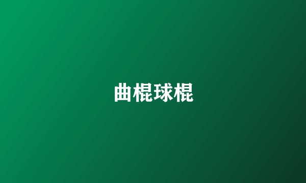 曲棍球棍