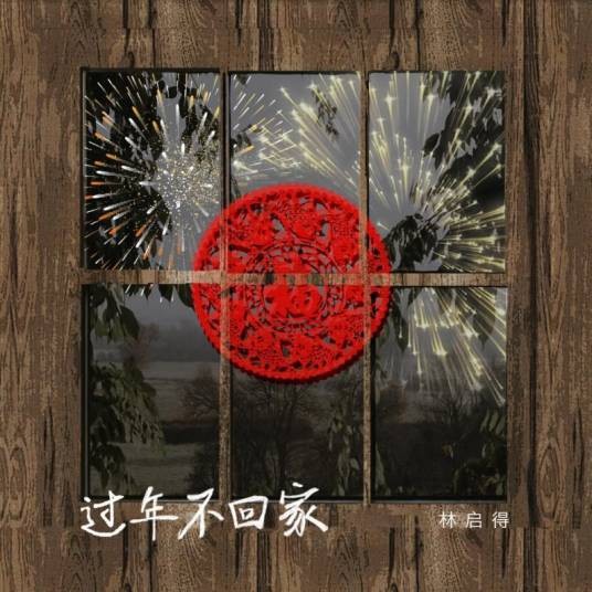 过年不回家