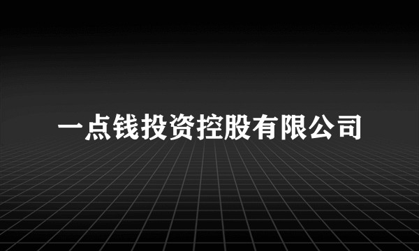 一点钱投资控股有限公司