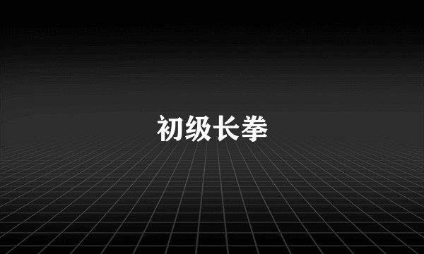 初级长拳