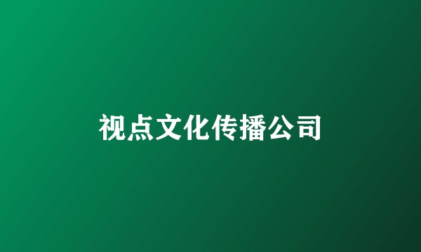视点文化传播公司