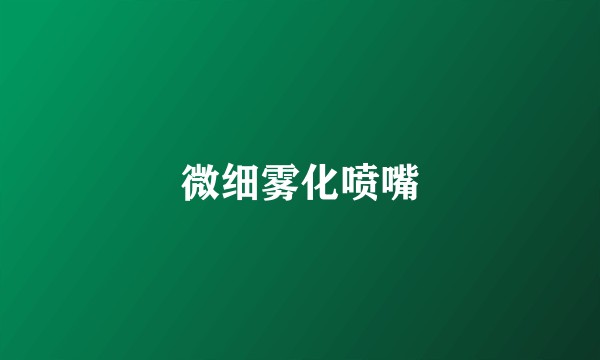 微细雾化喷嘴