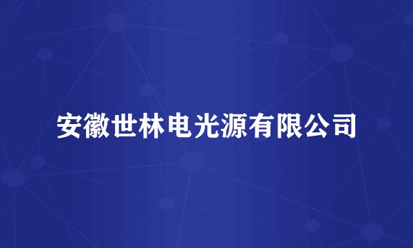 安徽世林电光源有限公司