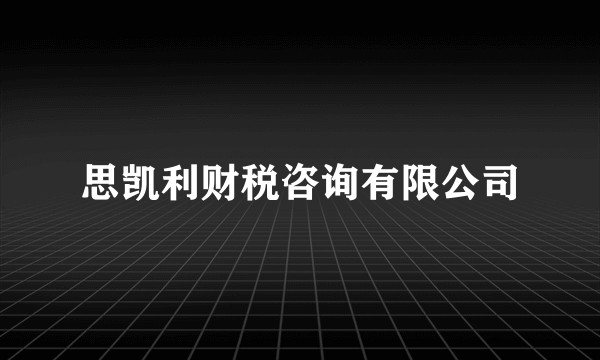 思凯利财税咨询有限公司