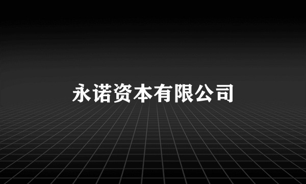 永诺资本有限公司