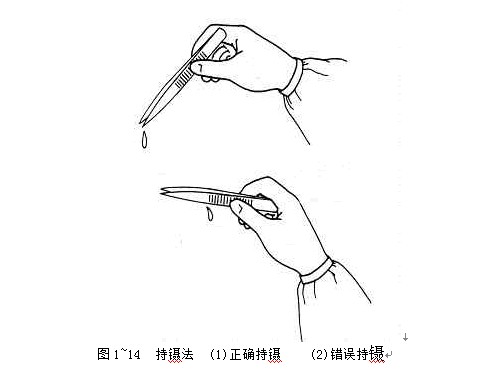 手术镊